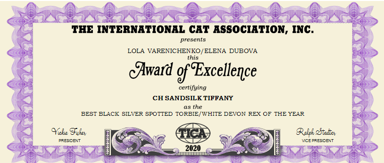 SandSilk Tiffany_2020_BEST BLACK SILVER SPOTTED TORBIE-WHITE DEVON REX OF THE YEAR_INTERNATIONAL